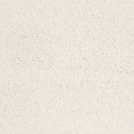 Shaw Floors Foundations Take The Floor Twist Blue Paradise