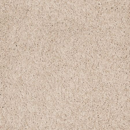 Shaw Floors Foundations Take The Floor Twist Blue Patience
