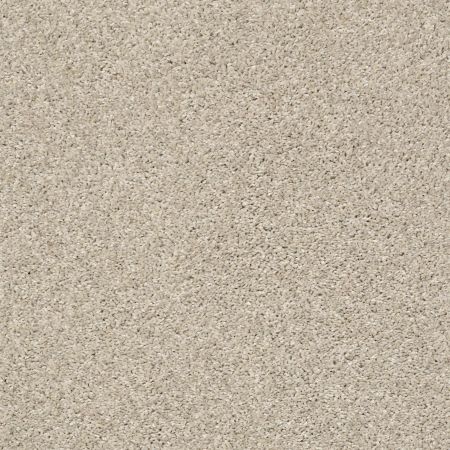 Shaw Floors Pet Perfect Plus Charmed Hues Antique White