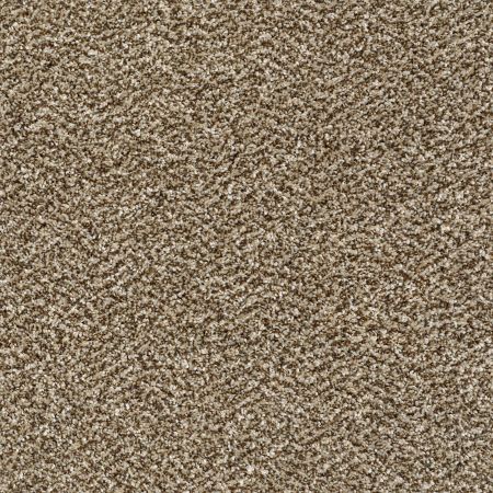 Shaw Floors Pet Perfect Plus Charmed Hues Honey Bear