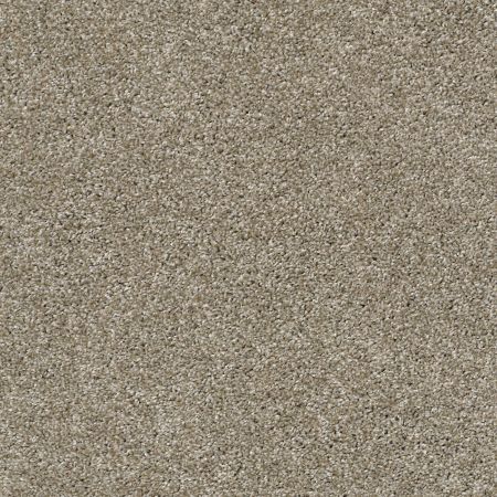 Shaw Floors Pet Perfect Plus Charmed Hues Wild Truffle