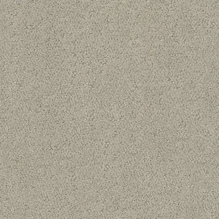 Shaw Floors Foundations Aerial View Natural Stone