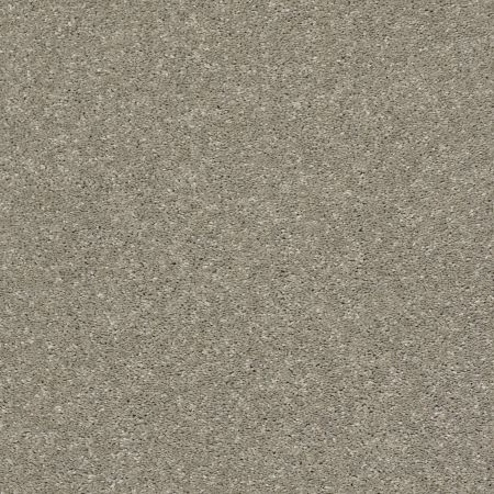 Shaw Floors Simply The Best After All I Rustic Taupe