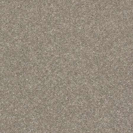 Shaw Floors Simply The Best After All II Rustic Taupe