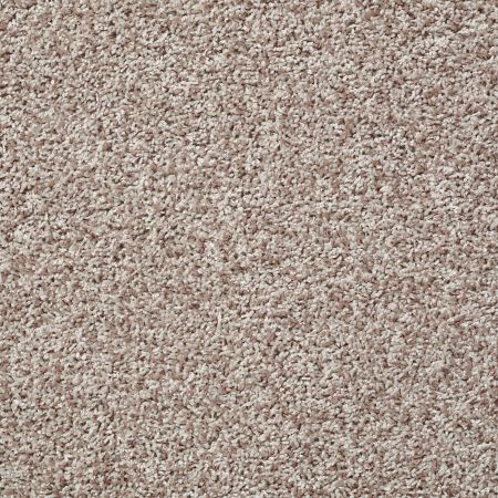 Shaw Floors Cool Flair Net Natural Wood