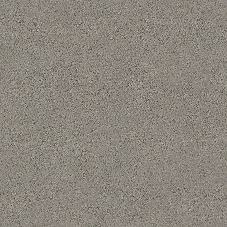 Shaw Floors Foundations Aerial View Net Dark Slate