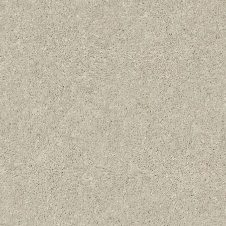 Shaw Floors Simply The Best After All I Net Bird House