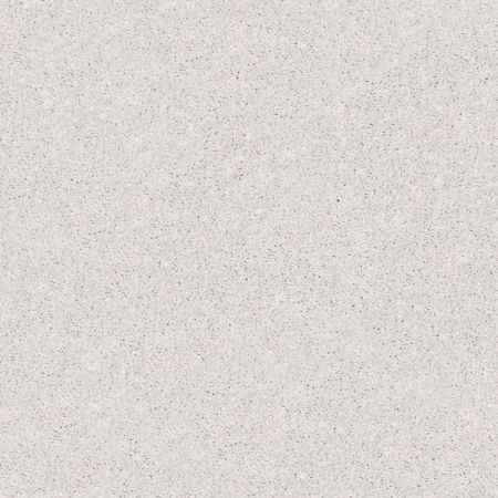 Shaw Floors Simply The Best After All II Net Dolphin