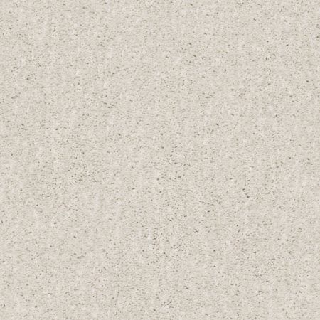 Shaw Floors Caress By Shaw Ombre Whisper Net Meditative