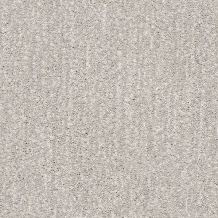Shaw Floors Caress By Shaw Ombre Whisper Net Gradient