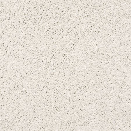 Shaw Floors Caress By Shaw Rich Opulence Net Delicate