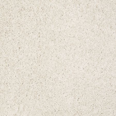 Shaw Floors Foundations Take The Floor Twist I Net Biscotti