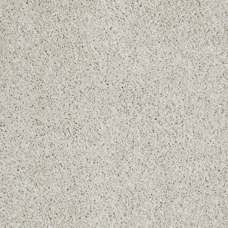 Shaw Floors Foundations Take The Floor Twist I Net Alpaca