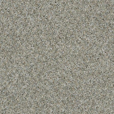 Shaw Floors Simply The Best Absolutely It Winter Chill
