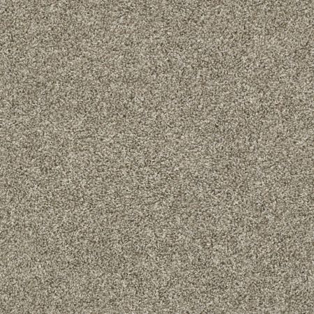 Shaw Floors Everlasting Tonal Owl