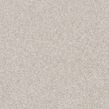 Shaw Floors Simply The Best Make It Mine II Desert Light