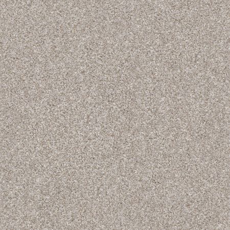 Shaw Floors Simply The Best Make It Mine II Winter Dunes