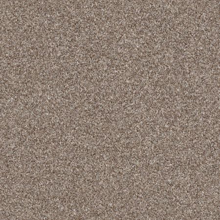 Shaw Floors Simply The Best Make It Mine II Fox Hollow