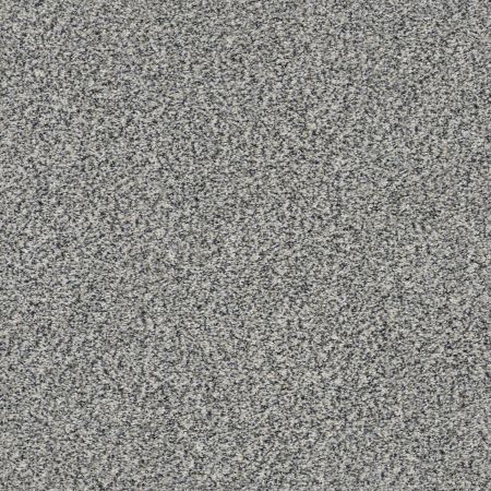 Shaw Floors Simply The Best Within Reach III Serene Still