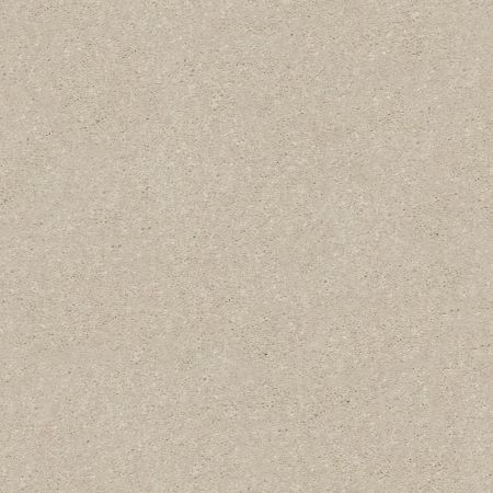 Shaw Floors Simply The Best Solidify I 12' Bleached