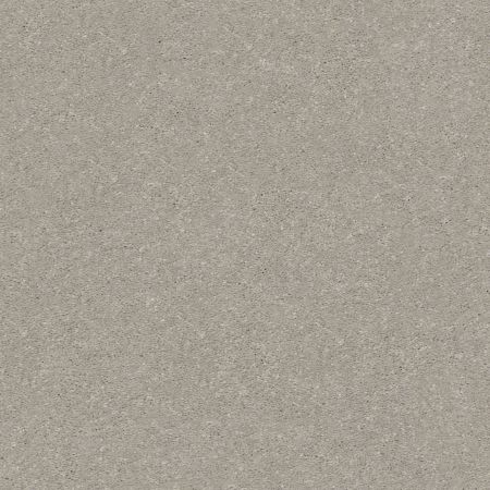 Shaw Floors Solidify III 15' Greige