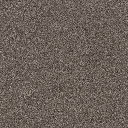 Shaw Floors Pet Perfect Plus Calm Simplicity I Antelope