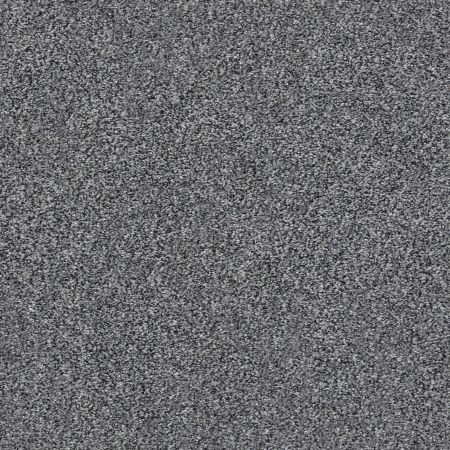 Shaw Floors Close Call II Heather Gray
