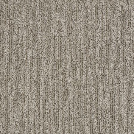 Shaw Floors Simply The Best Easy Fit Net Mesa