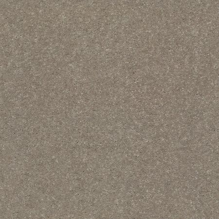 Shaw Floors Simply The Best Solidify III 12 Net Natural Contour