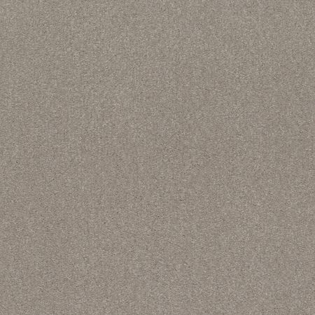 Shaw Floors Simply The Best Solidify III 12 Net Greige