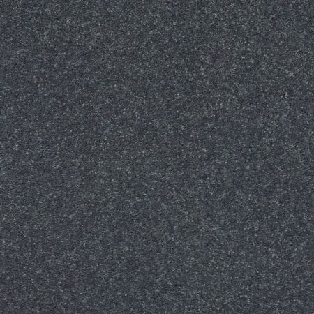 Shaw Floors Simply The Best Solidify III 12 Net Iron