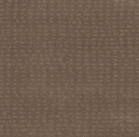 Shaw Floors Foundations Chic Nuance Raw Wood