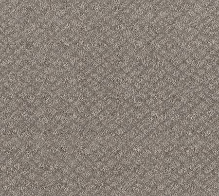Shaw Floors Foundations Chic Shades River Run