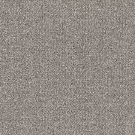 Shaw Floors Simply The Best Translate Net Steel Beam
