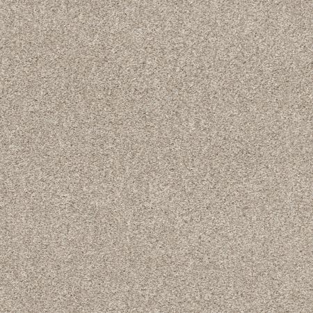 Shaw Floors Pet Perfect Plus Calm Serenity I Net Washed Linen