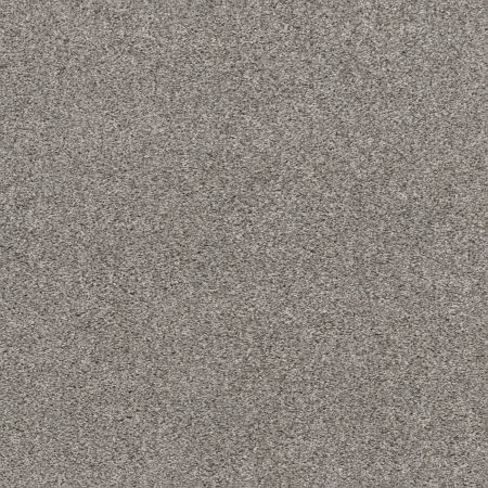 Shaw Floors Pet Perfect Plus Calm Serenity I Net Split Sediment