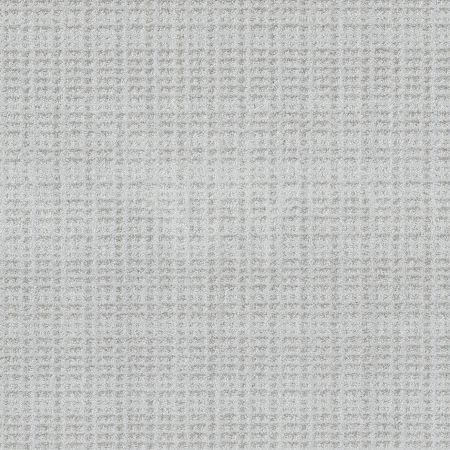 Shaw Floors Pet Perfect Plus Charming Transition Net Reflection
