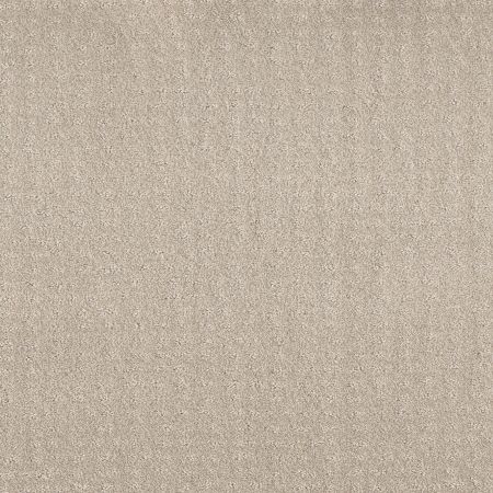 Shaw Floors Foundations Chic Nuance Net Washed Linen