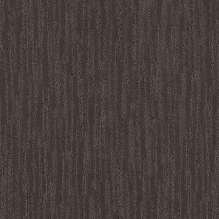 Shaw Floors Caress By Shaw On The Horizon Net Burma Brown