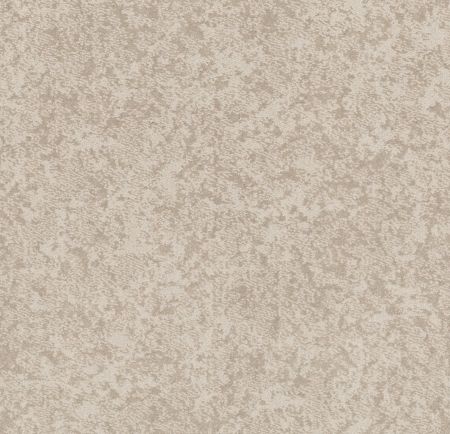 Shaw Floors Caress By Shaw State Of Mind Net Delicate Cream