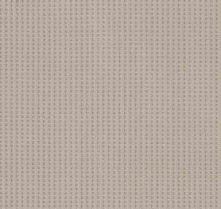 Shaw Floors Caress By Shaw Soft Symmetry Net Sandstone