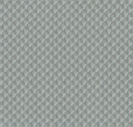 Shaw Floors Caress By Shaw Inspired Design Net Waters Edge