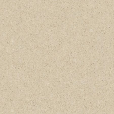 Shaw Floors Value Collections Heroic Net Silk Thread