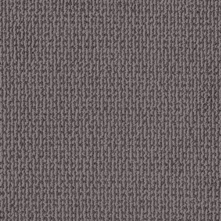 Shaw Floors Pet Perfect Plus Crafted Embrace Dolphin