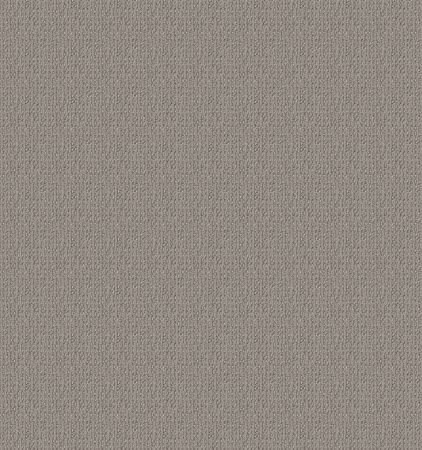 Shaw Floors Simply The Best Iconic Way Net Asteroid
