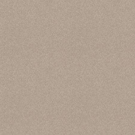Shaw Floors Foundations Harmonious II Net Sandstone