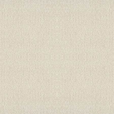 Shaw Floors Foundations Fine Tapestry Net Champagne Toast