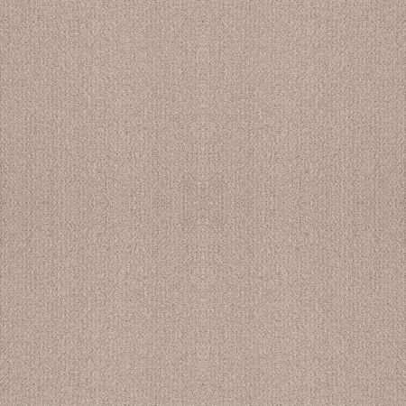 Shaw Floors Foundations Fine Tapestry Net Heirloom