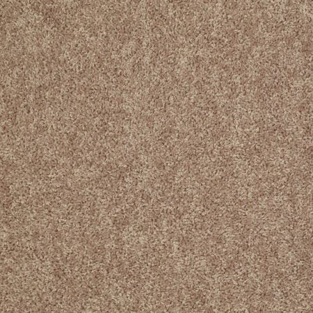 Shaw Floors Value Collections Take Away (s) Net Raft