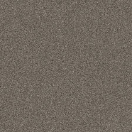 Shaw Floors Simply The Best Without Limits III Misty Mica